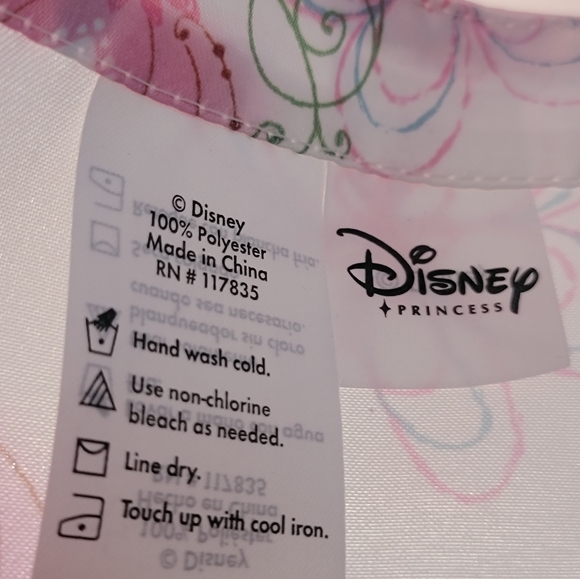 CINDERELLA PRINCESS ENCHANTMENT WINDOW PANELS - Picture 5 of 17